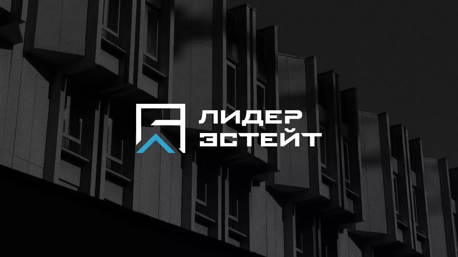 Разработка логотипа агентства недвижимости «Лидер Эстейт» в Нолинске