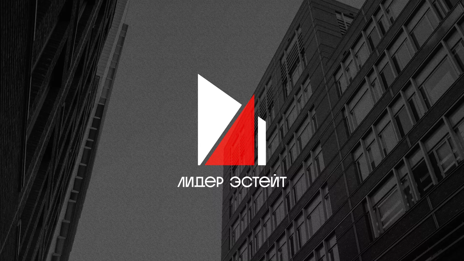 Сделали логотип для агентства недвижимости «Лидер Эстейт» в Нолинске