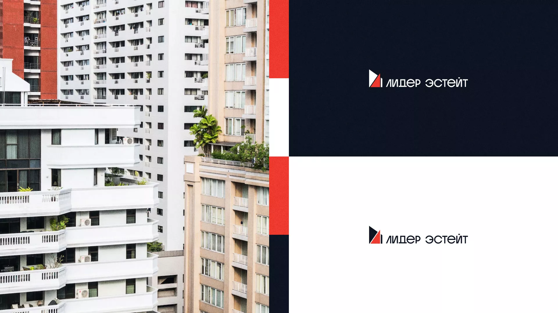 Сделали логотип для агентства недвижимости «Лидер Эстейт» в Нолинске